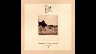 Pond - Pond in a Park (B-Sides)