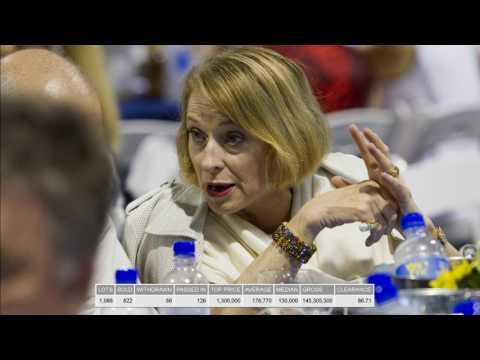 2017 Gold Coast Yearling Sale Book 3 & Racehorse Sale