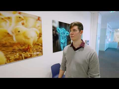 MSD Animal Health Krems Recruiting Video