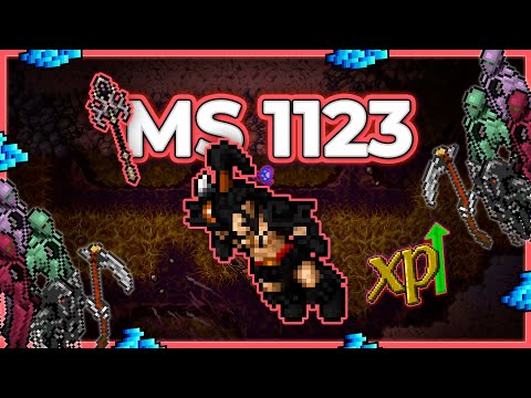MS 1123 Hunt Solo Brain Grounds 8.9kk/h Raw + 1kk Profit - Tibia Hunt [13.10] #tibia #tibiahunt