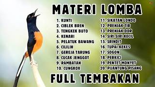 Download lagu 🔴 MASTERAN PANJANG‼️ FULL ISIAN MURAI BATU GACOR mp3 Download lagu 🔴 MASTERAN PANJANG‼️ FULL ISIAN MURAI BATU GACOR mp3