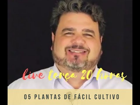 , title : '05 PLANTAS DE FÁCIL CULTIVO'