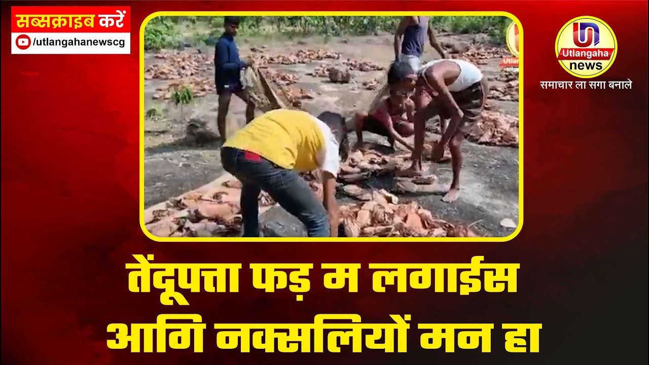 नक्सली मन तेंदूपत्ता के फड़ म आगी लगा दिन