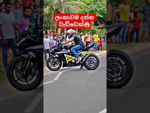 ලංකාවම දන්න වැඩ්ඩෙක්😱❤️🚀#zx10r #stuntbike #shortsfeed  #bikelover #viralvideo #highlights #song#dj