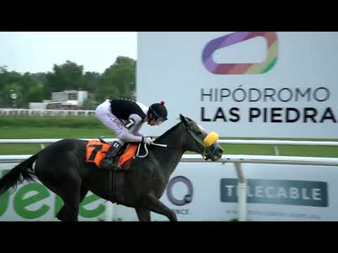 220121 c06 - CAFE BICHO - HIPODROMO LAS PIEDRAS