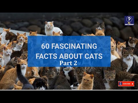 A Cat's Life: 60 Fascinating and Amazing Facts about Cats-part 2