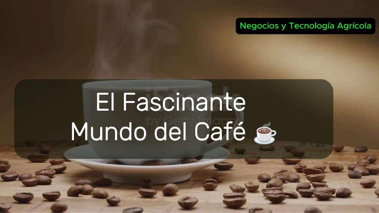 El Fascinante Mundo del Café ☕️
