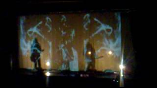 Afterhours, Musicista Contabile