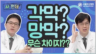 시력을 결정하는 <b>각막</b>과 망막, 이름이 비슷한데... 무슨 차이지? 미리보기 썸네일