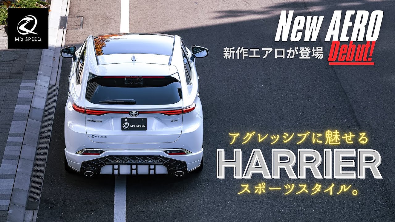 80ハリアー☆第2弾エアロはアグレッシブに攻めたスポーツスタイル。