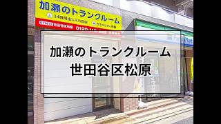 YouTube動画