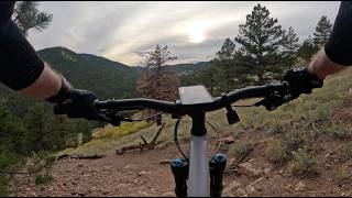 Mountain Lion (Lower) - Golden Gate Canyon State Park - Coal Creek - Colorado