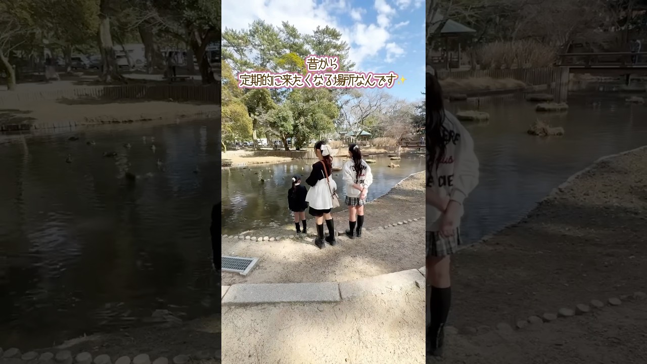 #島根 #島根観光 #出雲大社 #食べ歩き #Vlog #休日 #主婦 #主婦vlog #お出かけ #shorts