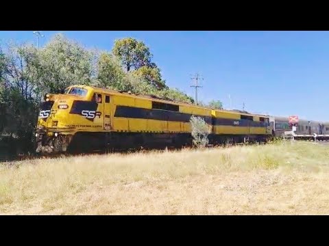 #NK83 SSR GM10 AK cars first time on Westdale line at West Tamworth NSW 24-1-2025