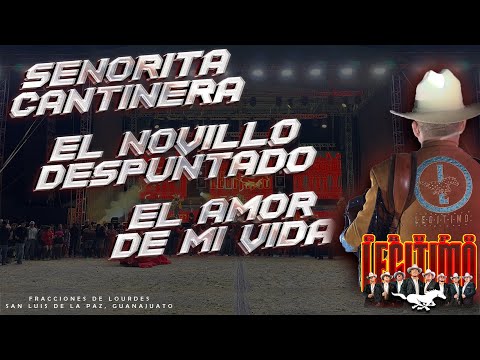Señora Cantinera | El Novillo Despuntado | El Amor de Mi Vida / Grupo Legitimo - F. de Lourdes Gto