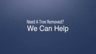 preview picture of video 'Tree Removal Abbotsford - Best Tree Removal Service In Abbotsford Call Now (877) 586-4265'