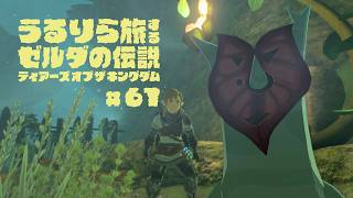 コログたちの困りごとを解決するデスよ #61【ゼルダの伝説 ティアーズ オブ ザ キングダム Switch2エディション】