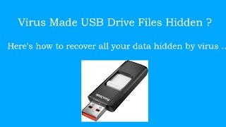 Recover USB Drive Files Hidden by Virus [How to]