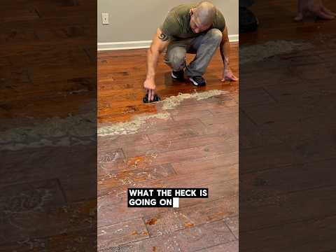 These Products RUIN Hardwood! #floorcleaning #cleaning