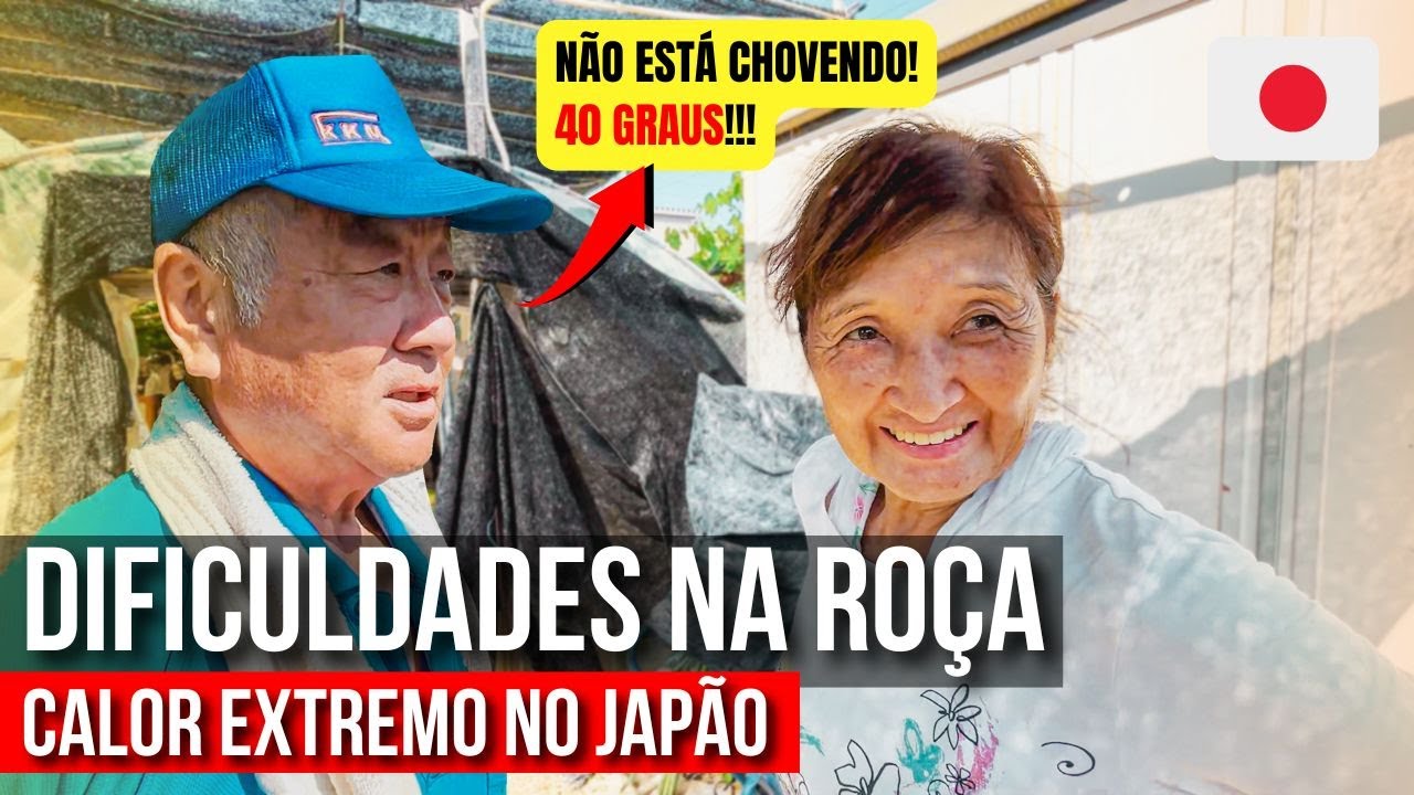 TOUR PELA ROÇA DOS BRASILEIROS NO JAPÃO EM MEIO AO CALOR EXTREMO