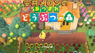 安井メロン のまったりあつ森ライブ配信