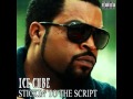 Ice Cube Damn Homie ft Cent [Download] 