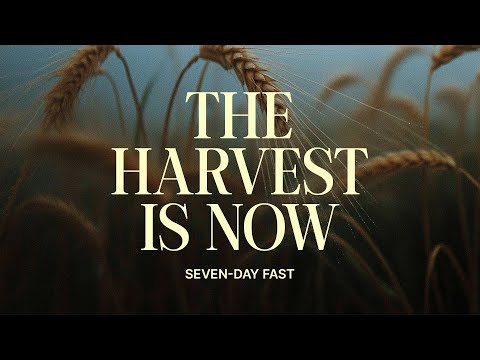 Bethel Church Service | Worship and Intercession Gathering | The Harvest Is Now: Seven-Day Fast