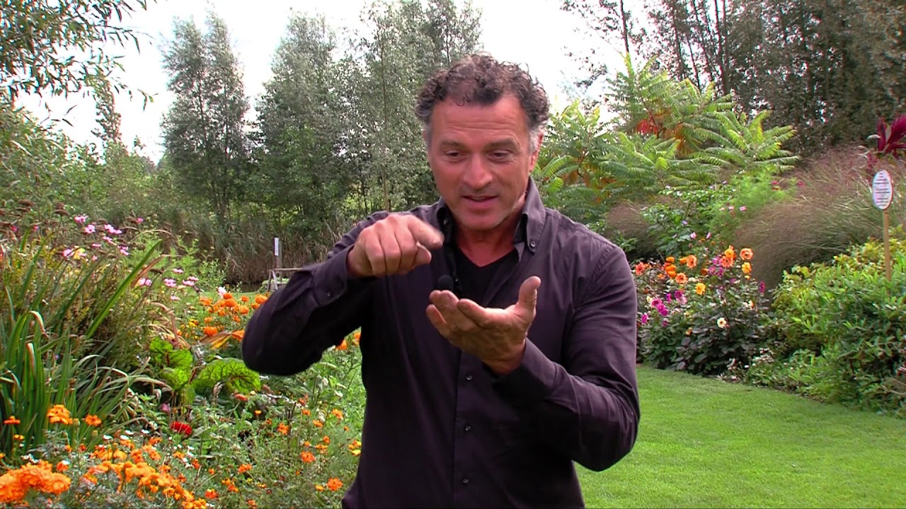 Planting flower bulbs for bees and butterflies