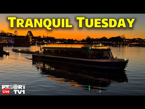 🔴Live: Tranquil Tuesday - An Evening at Epcot Festival of the Arts - 1-20-26 - Walt Disney World