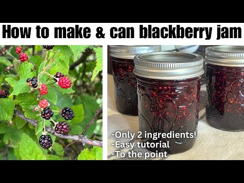 How to Make & Can Blackberry Jam: ONLY 2 INGREDIENTS! Step by step tutorial for beginner canners