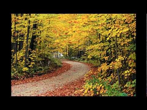 Autumn Bump (Hip-Hop - Full Song) - Negrosaki's Free Random Sounds Vol. 16