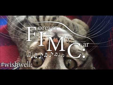 Sam Feldt ft Olivia Sebastianelli - Wishing Well [FIMC:]