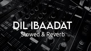 Dil Ibaadat (Slowed+Reverb) - Pritam &amp; KK || Tum Mile || Vibes || abhi edit