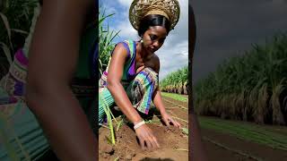 Download lagu Queen of the Soil An African Lady at Work #shortvideo #shortsfeed mp3