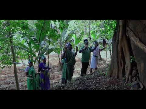 ūhiū thaii,  Nyūba thaii