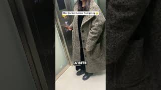 K9 Wasn't Being a Very Good Boy 🤣 (@thanhnee206)