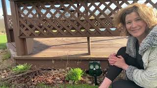 Testing the Owl-Shaped Solar Animal Repellent for 7 Days — What We Learned X9001