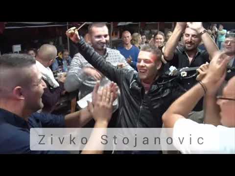 Violina pod satrom - Zivko Stojanovic Violina