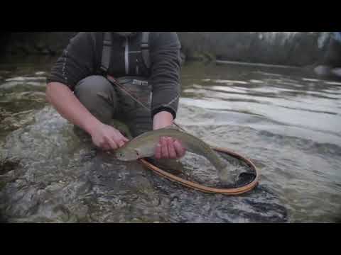 FLY FISHING IN SOCA Fly fishing in Soča river Slovenia FLYFISHING ADVENTURE   FLY FISHING online vi
