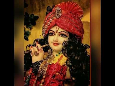 New Krishna ❤️ Status Song🌺🌺Hey Mohan Girdhari Govinda Nandlal