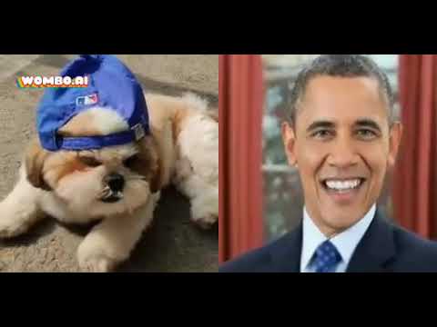 my dog bestfriend is Barak Obama