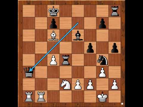 Takvim nevidjenim žrtvama nije se moglo odupreti ‼️ WAGNER vs SCHOENMANN # 2445