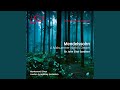 A Midsummer Night's Dream, Incidental Music, Op. 61: No. 3, Lied mit Chor