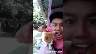 Download lagu Ayam goreng mp3