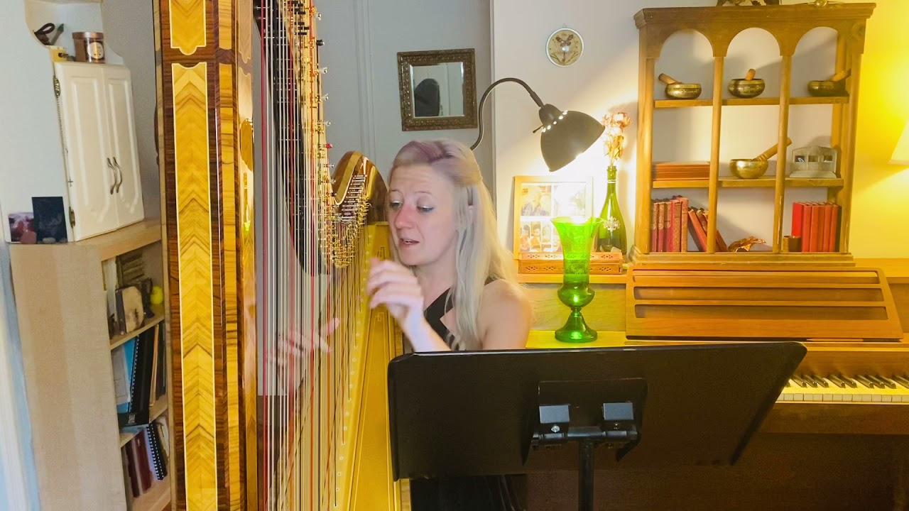 Promotional video thumbnail 5 for Timbre