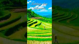 Download lagu dj angklung bad liar || Indahnya alam Indonesiaku mp3