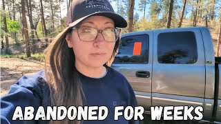 I Walked Up to the Abandoned Truck I’ve Been Seeing for Weeks | Van Life Mystery in the Forest