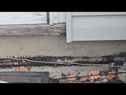 Yellow Jackets Underneath the Siding in Fords, NJ