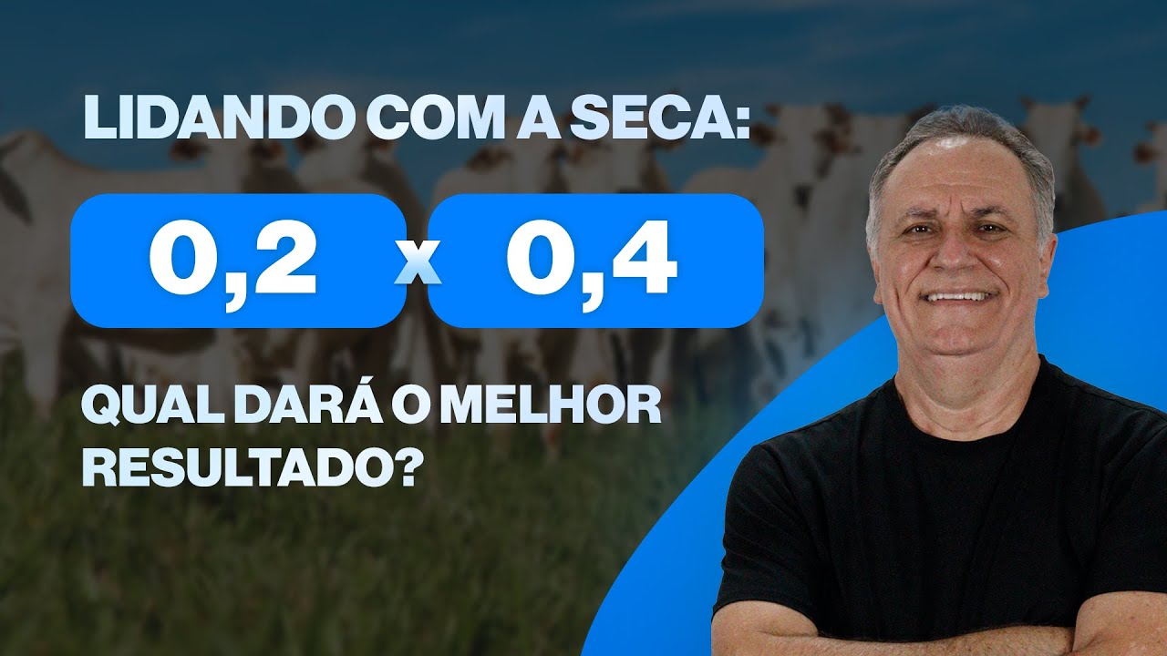 Proteico ou Energético: Onde seu investimento trará mais benefícios?