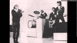 The Electric Prunes - Try Me on For Size